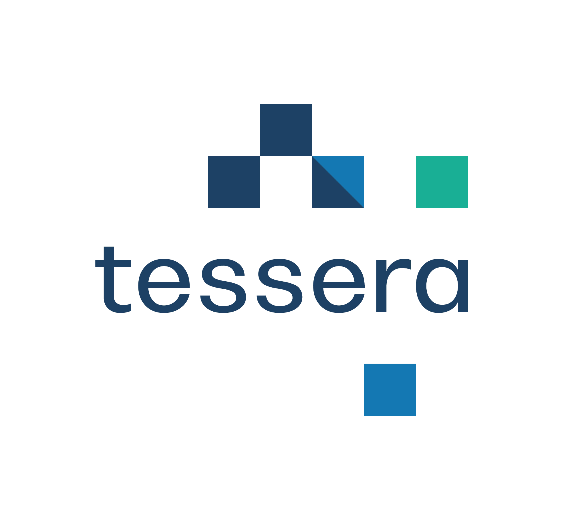 Tessera Data